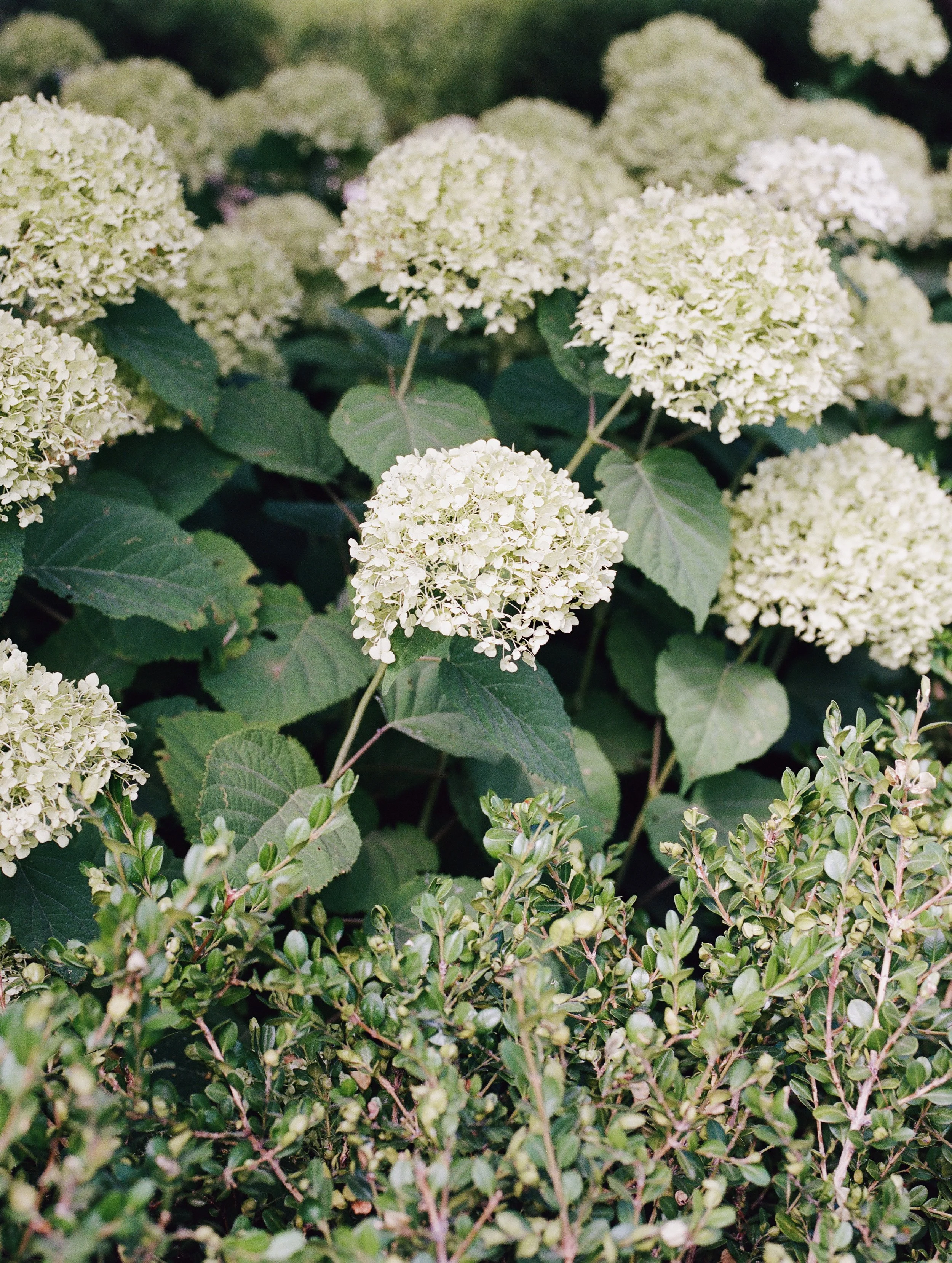 FILM-174.jpg