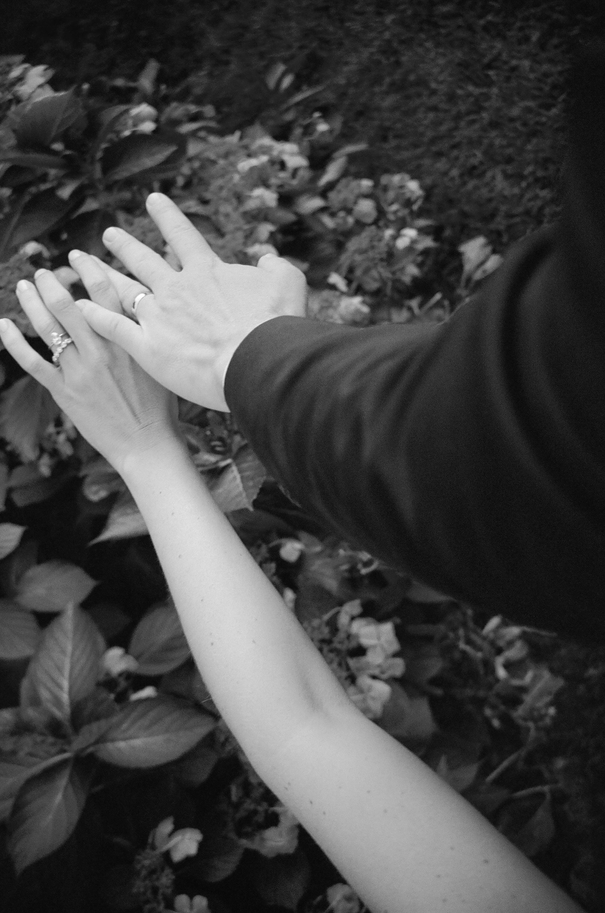 FILM-HIGHLIGHT-MelissaStickneyPhotography-54.jpg