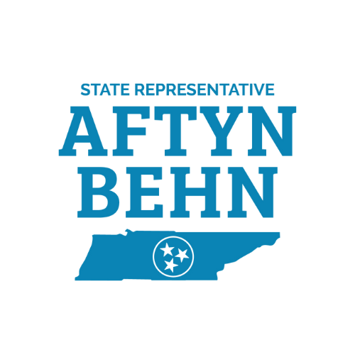 Design for a political campaign with the text 'State Representative AFTYN BEHN' and a parking lot illustration with the number 3.