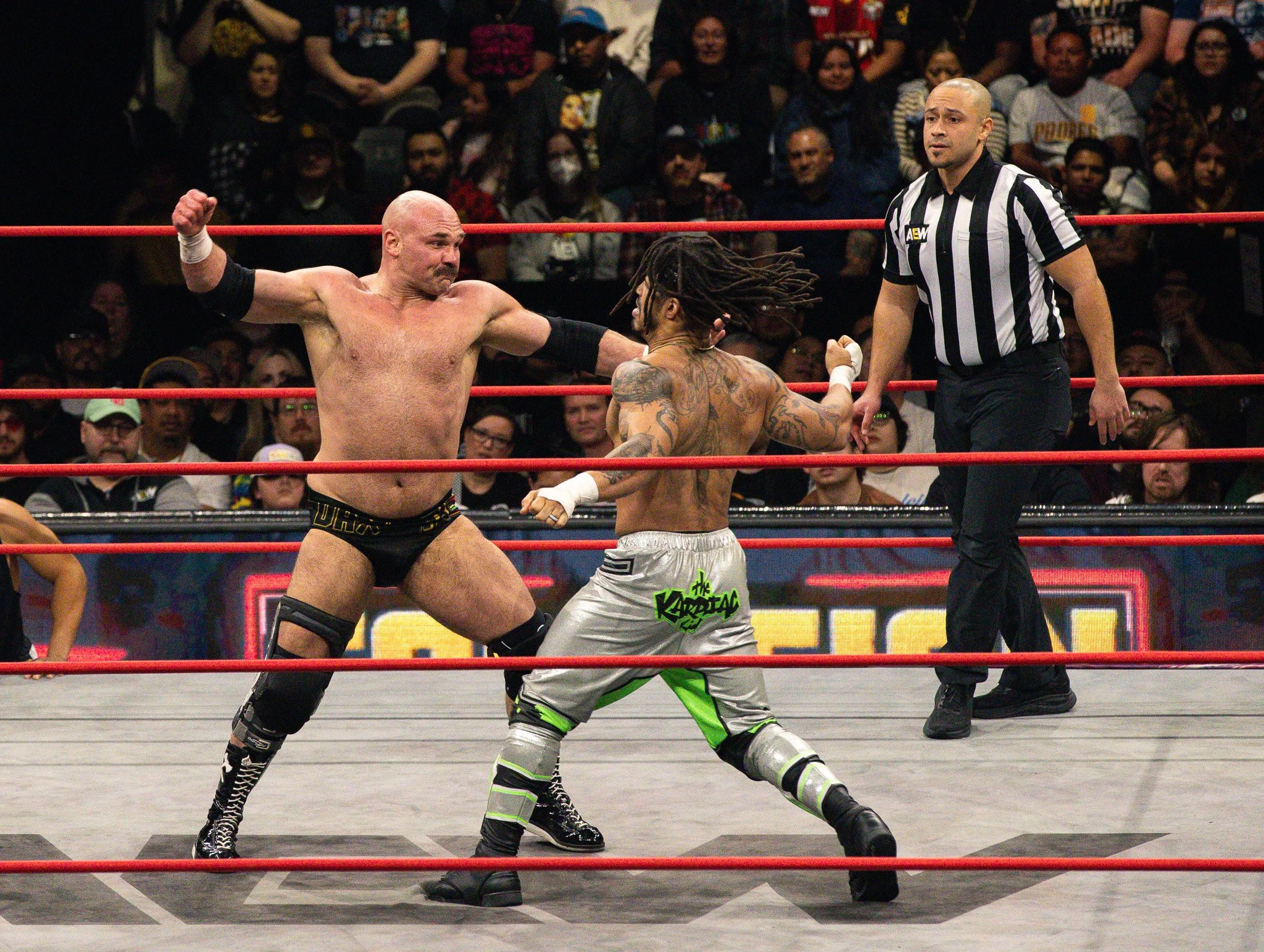 wwe punchhhhessss.jpg