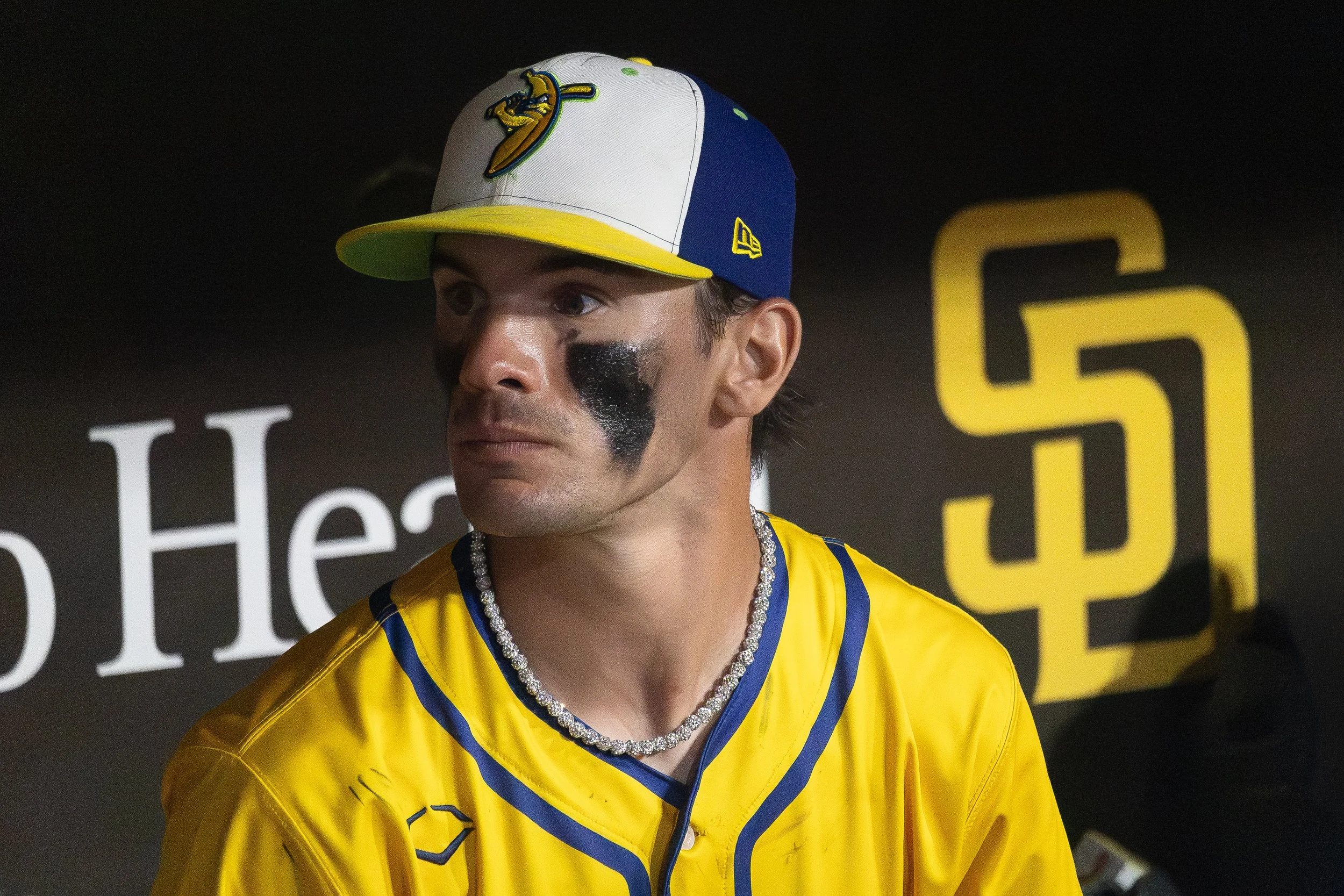 bananan balll sdd logo .jpg