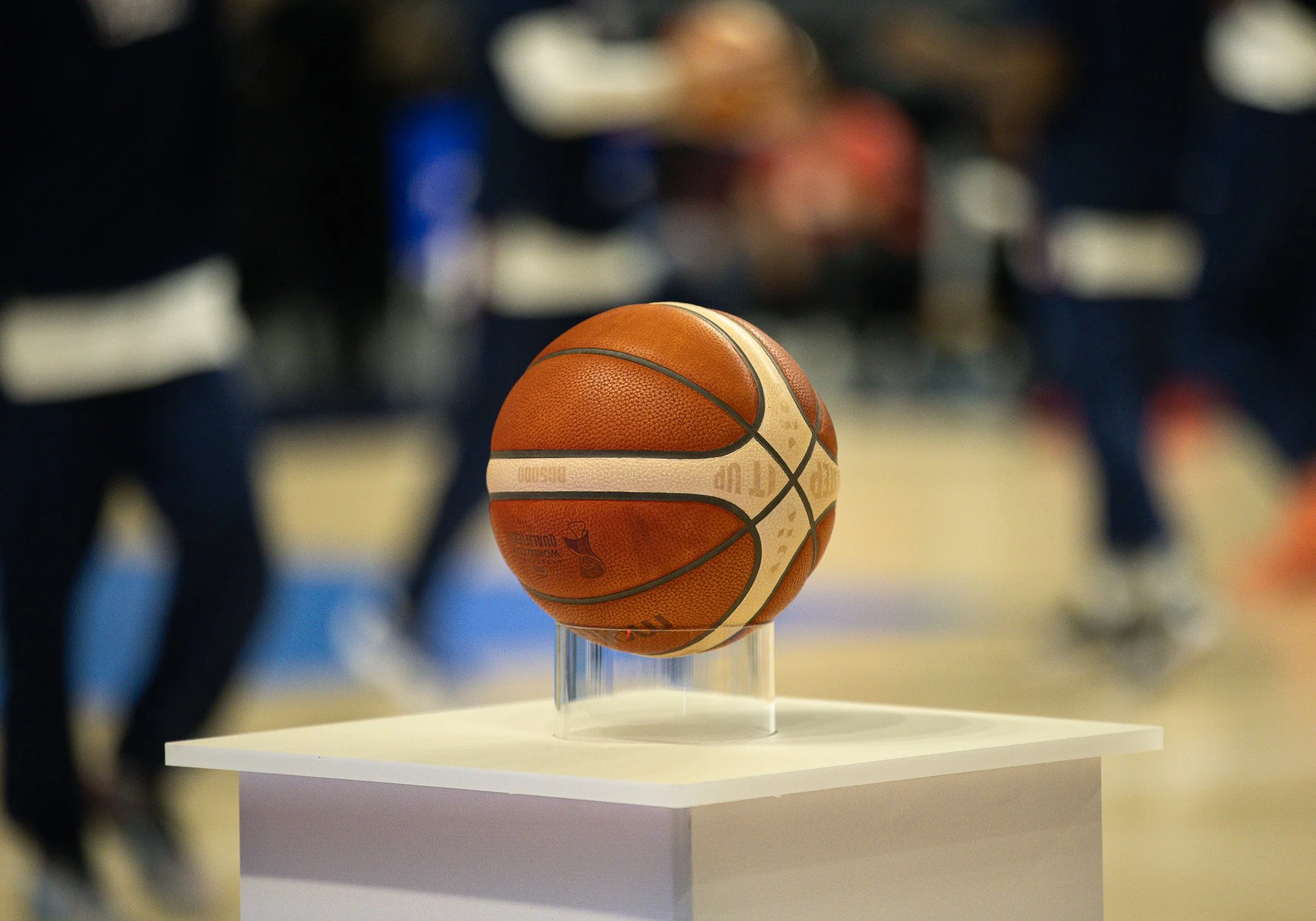 usa fiba ballllsss.jpg