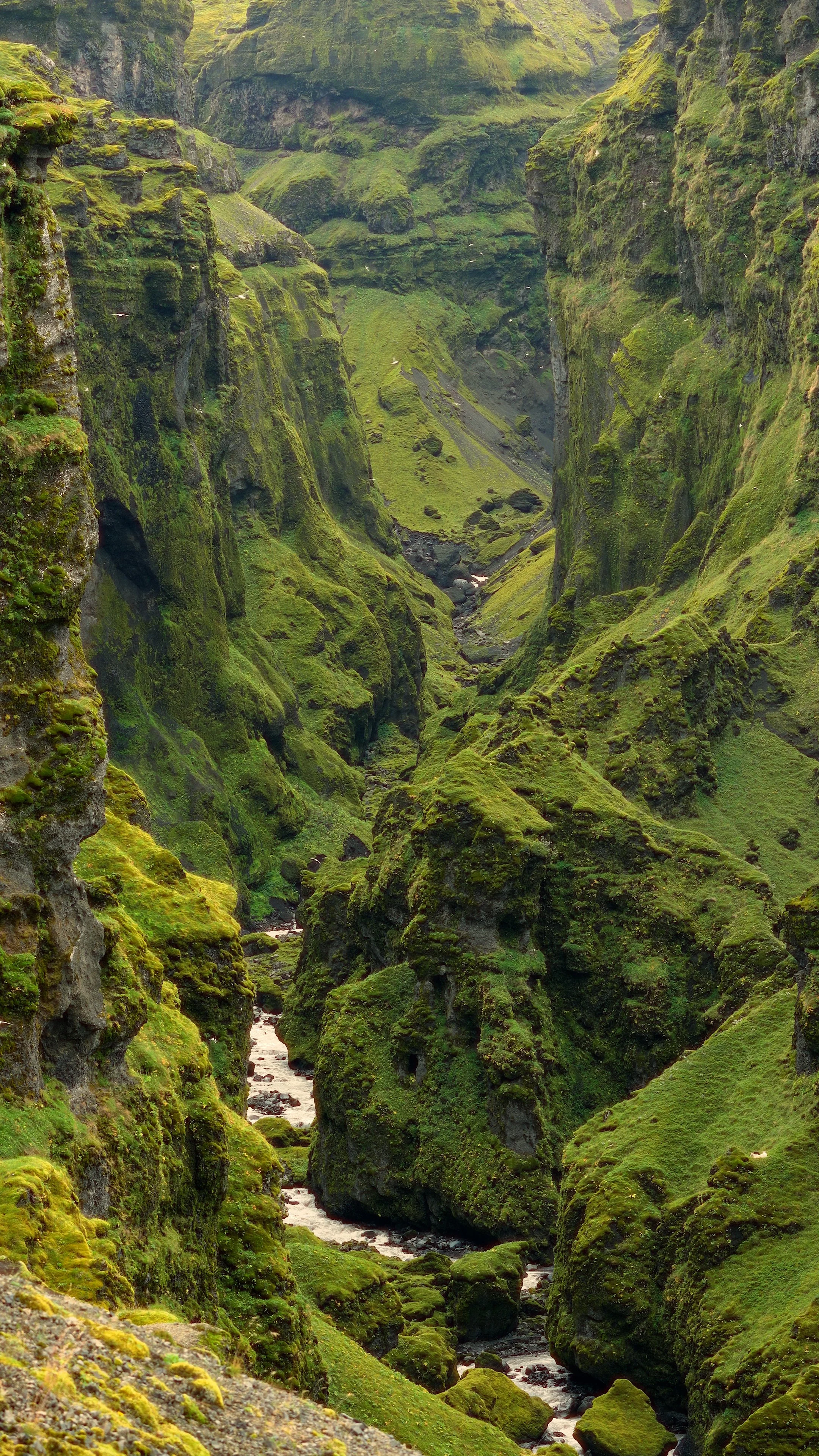 iceland wonder how the view is.00_00_09_08.Still005.jpg