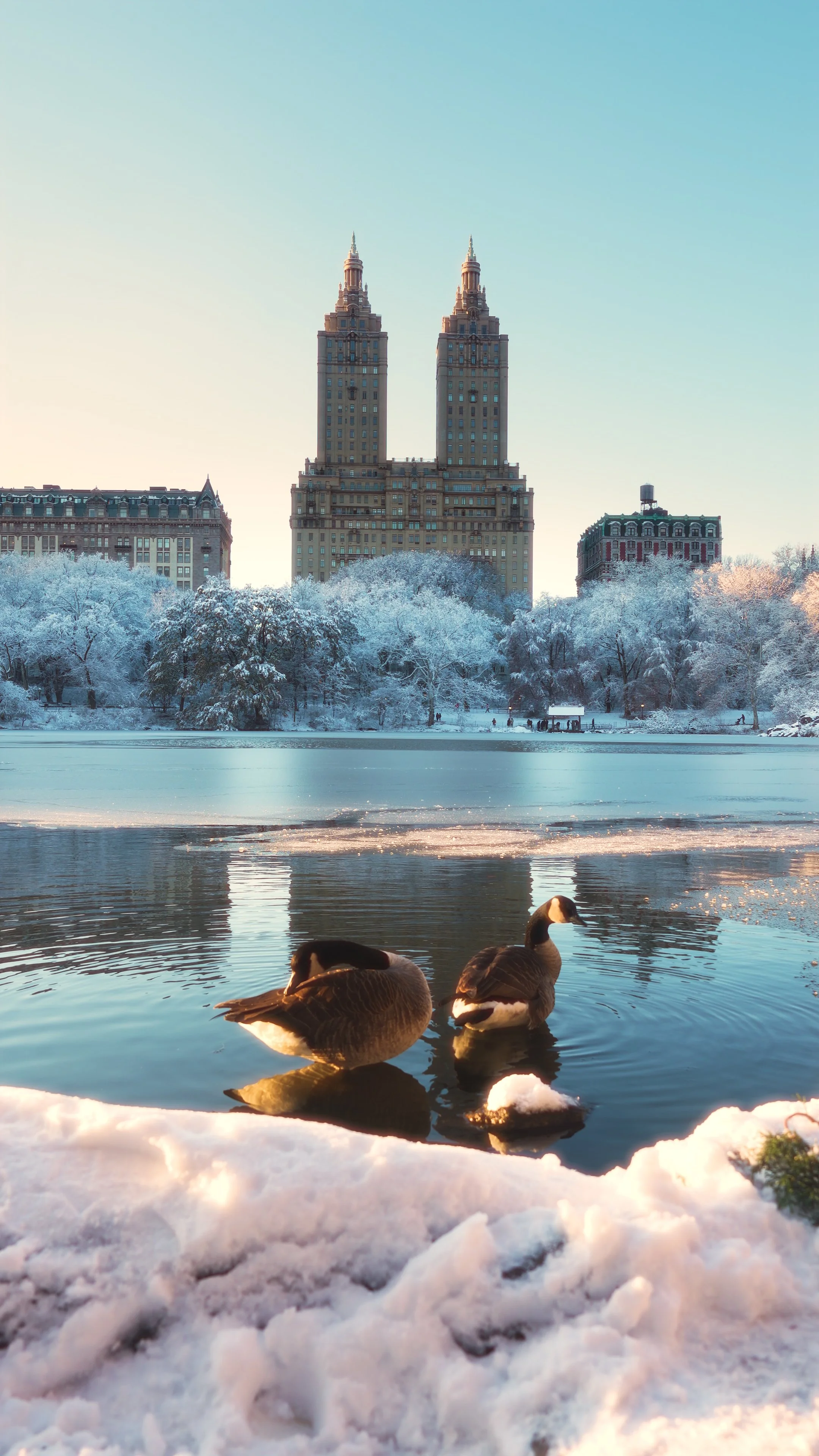 the art of noticing winter.00_00_06_23.Still001.jpg