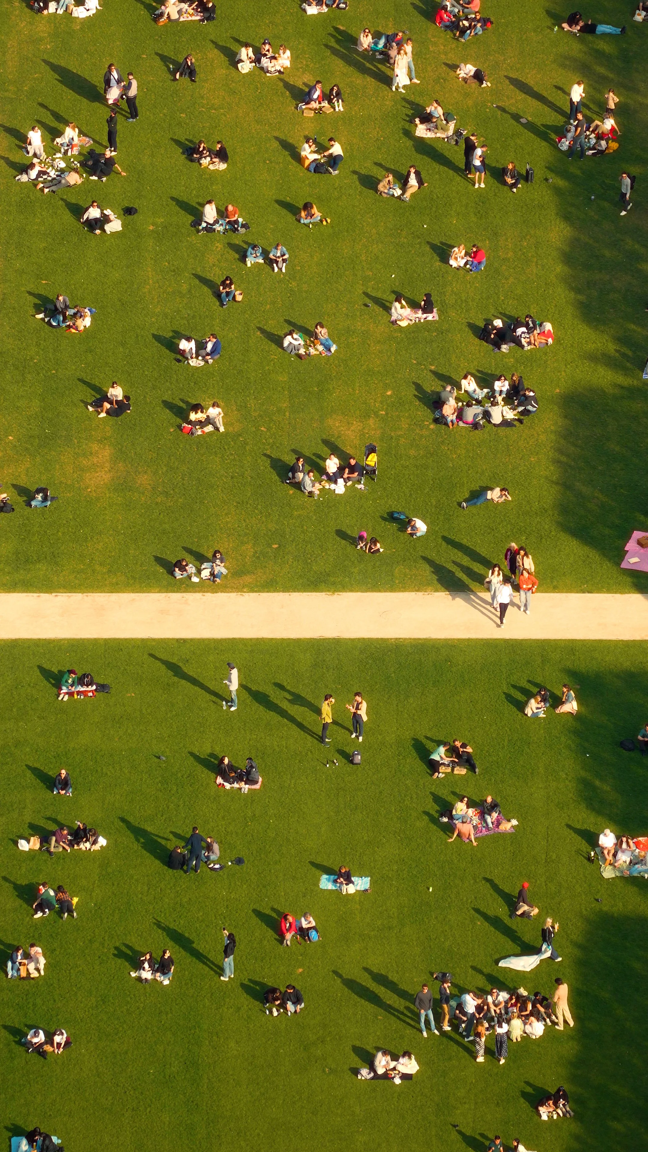 a morning in paris v2.00_00_14_14.Still005.jpg