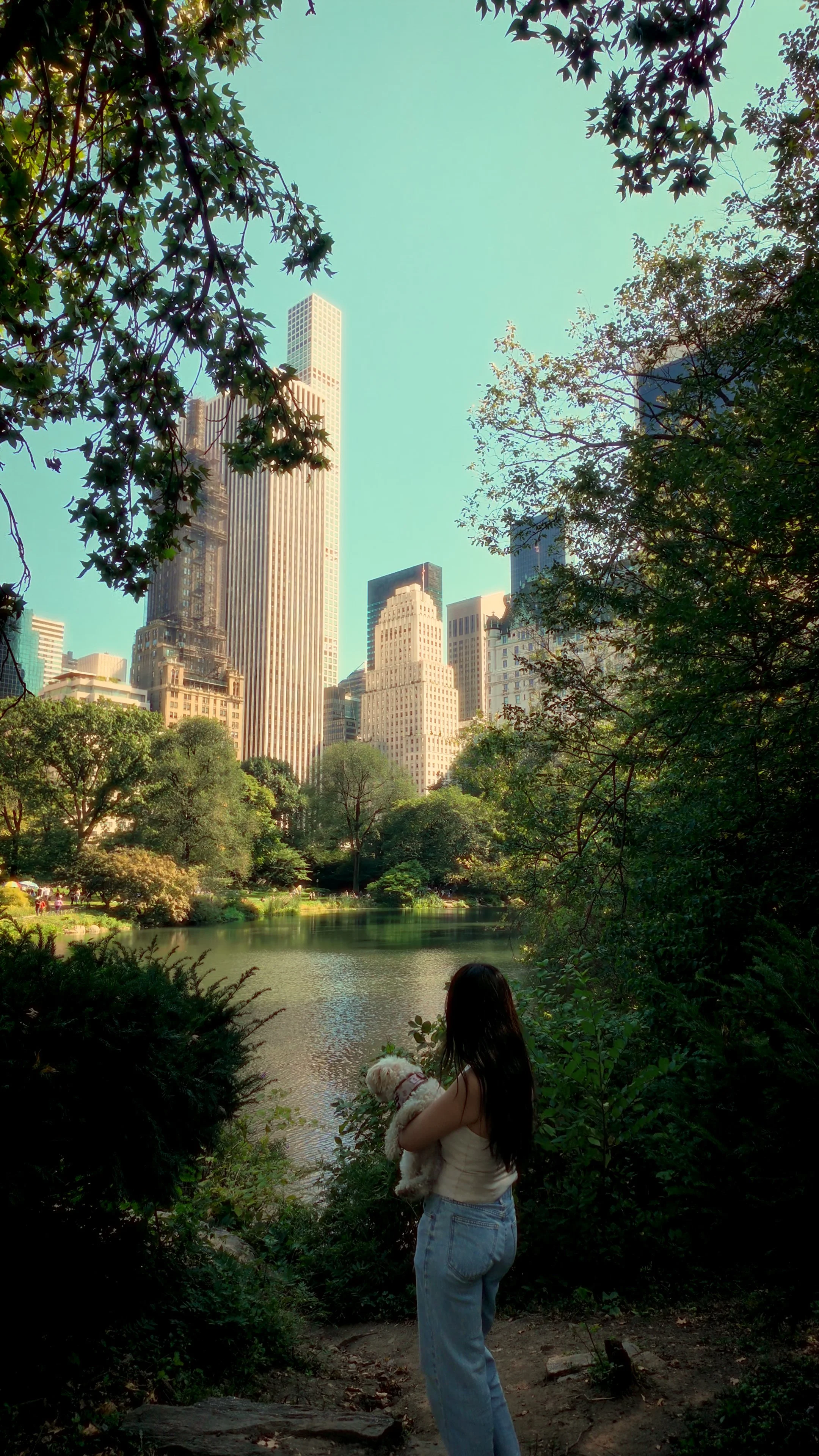 the art of noticing VI.00_00_07_21.Still001.jpg