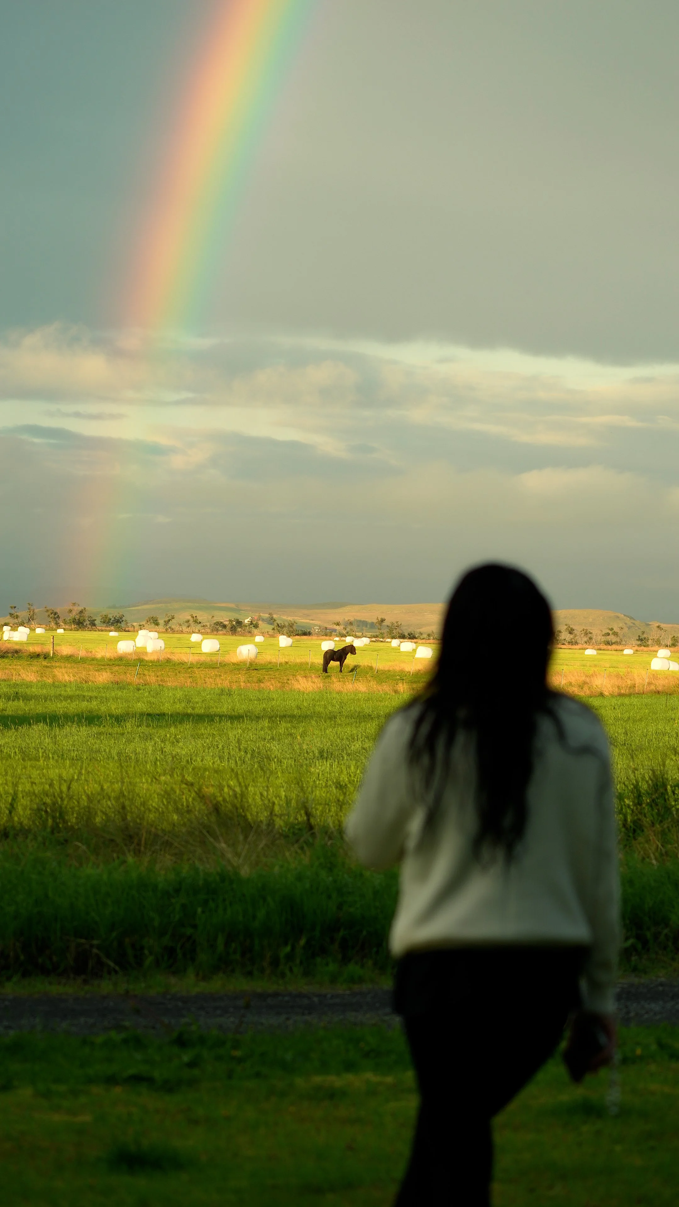 Iceland why bring camera.00_00_09_02.Still005.jpg