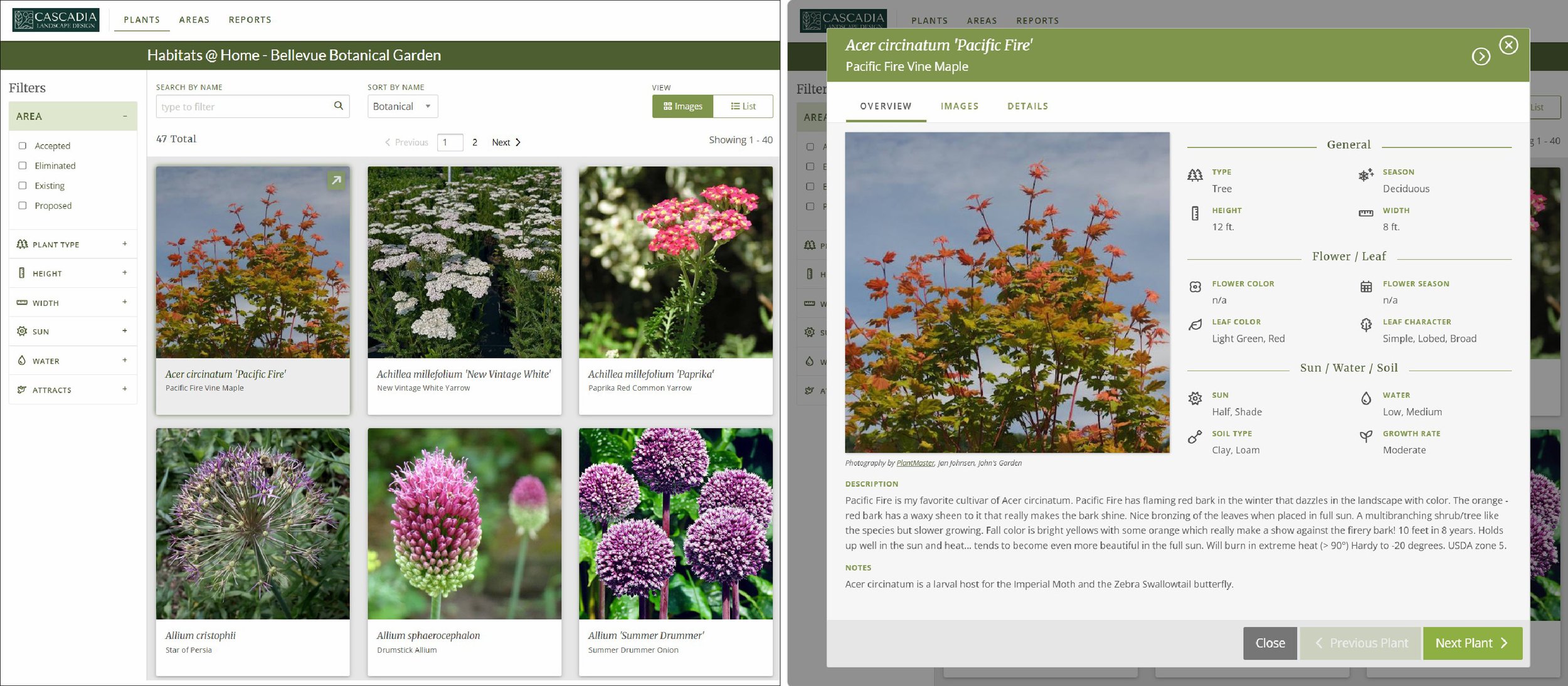 Two PlantMaster screenshots: a plant list with search, filters, and plant cards, and a ‘Pacific Fire’ Vine Maple profile with a photo of its red bark and green-and-orange leaves, plus growth requirements.
