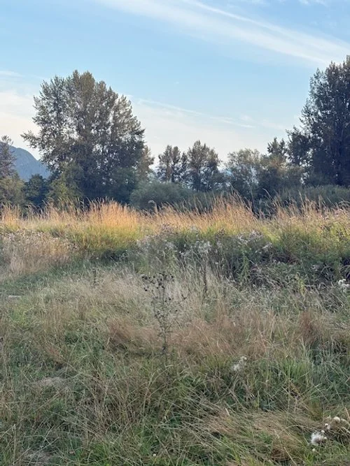 Landscapes in Focus: Natural Pools, Meadows, Metal and Architecture