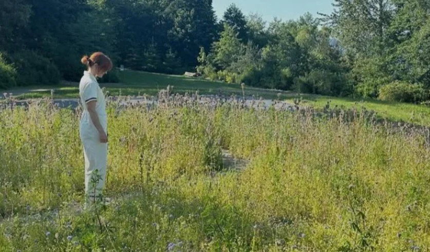 Meadow & Farm Tour