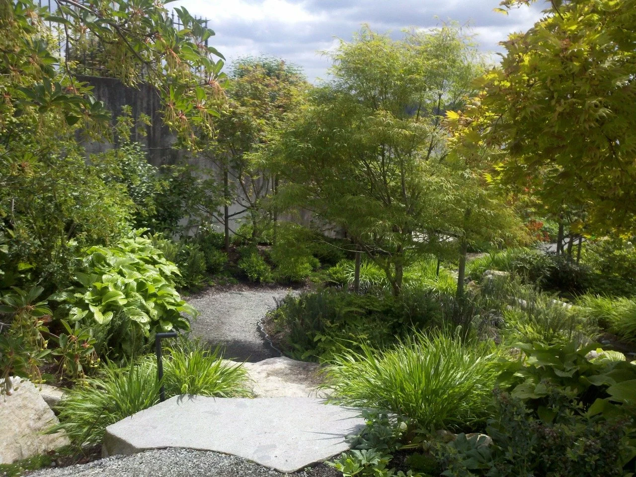 Tree and Stone: From Vision to Installation