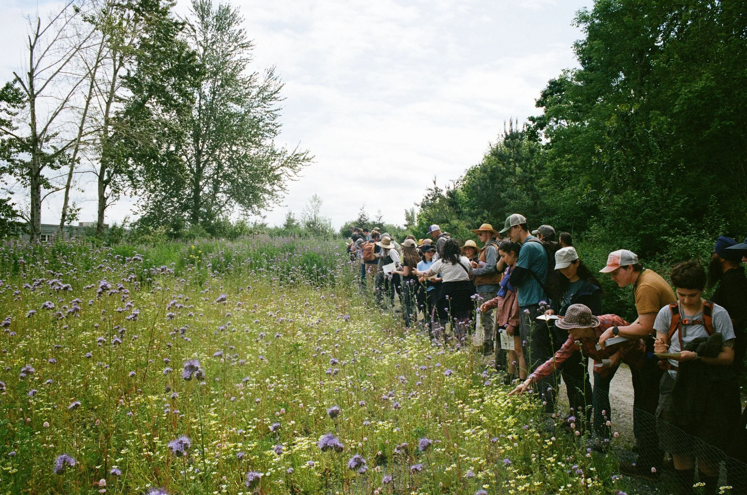 A group of people in a meadow.