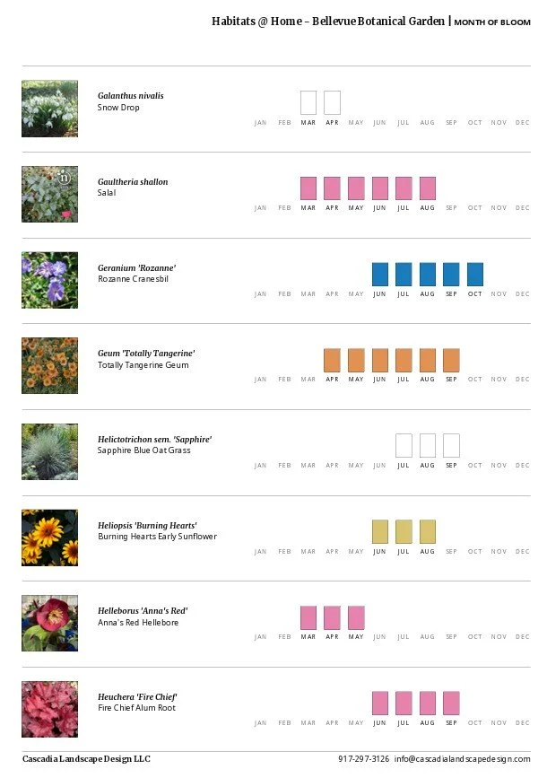 A screenshot of a PlantMaster software bloom chart report, displaying a list of plants with thumbnail photos and monthly color-coded blocks indicating their blooming periods across the year.