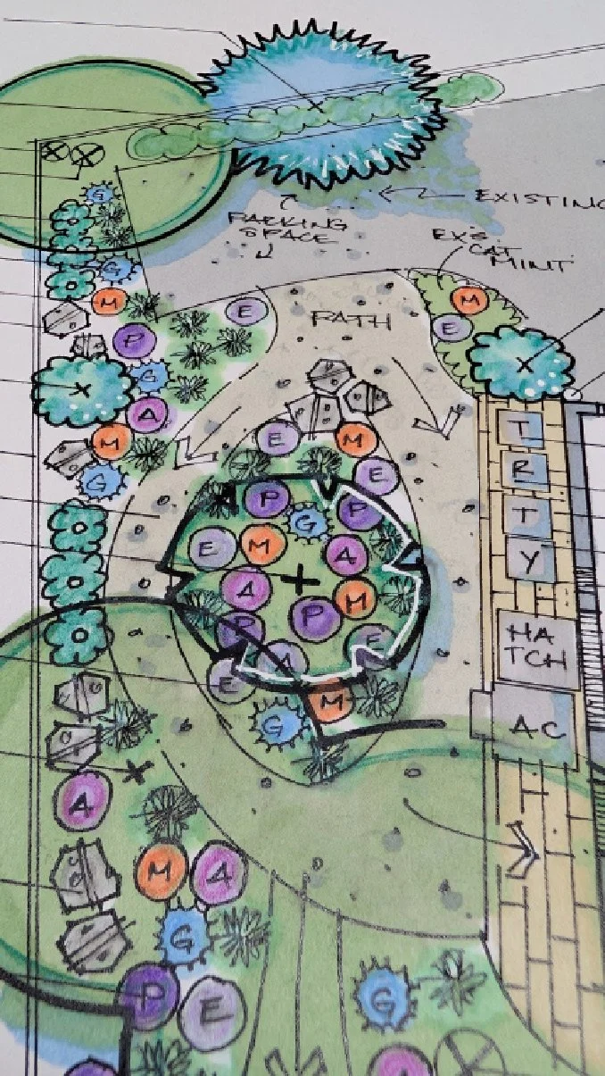 : a hand-drawn landscape design, predominant colors of blue, green and orange, showing trees, plantings, and pathways.
