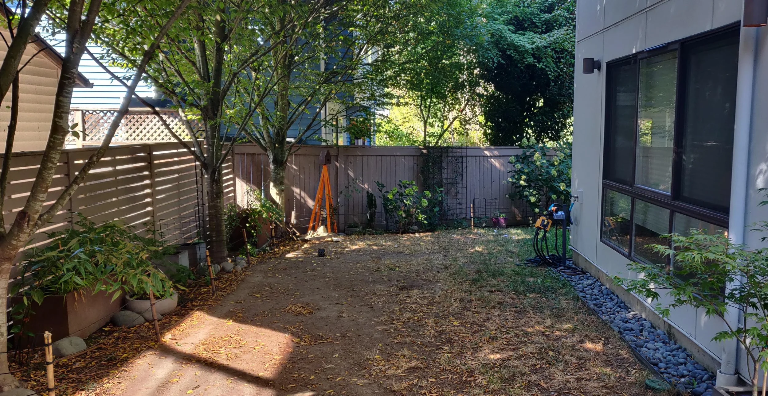 A ‘before’ photo of a narrow, shady side yard.