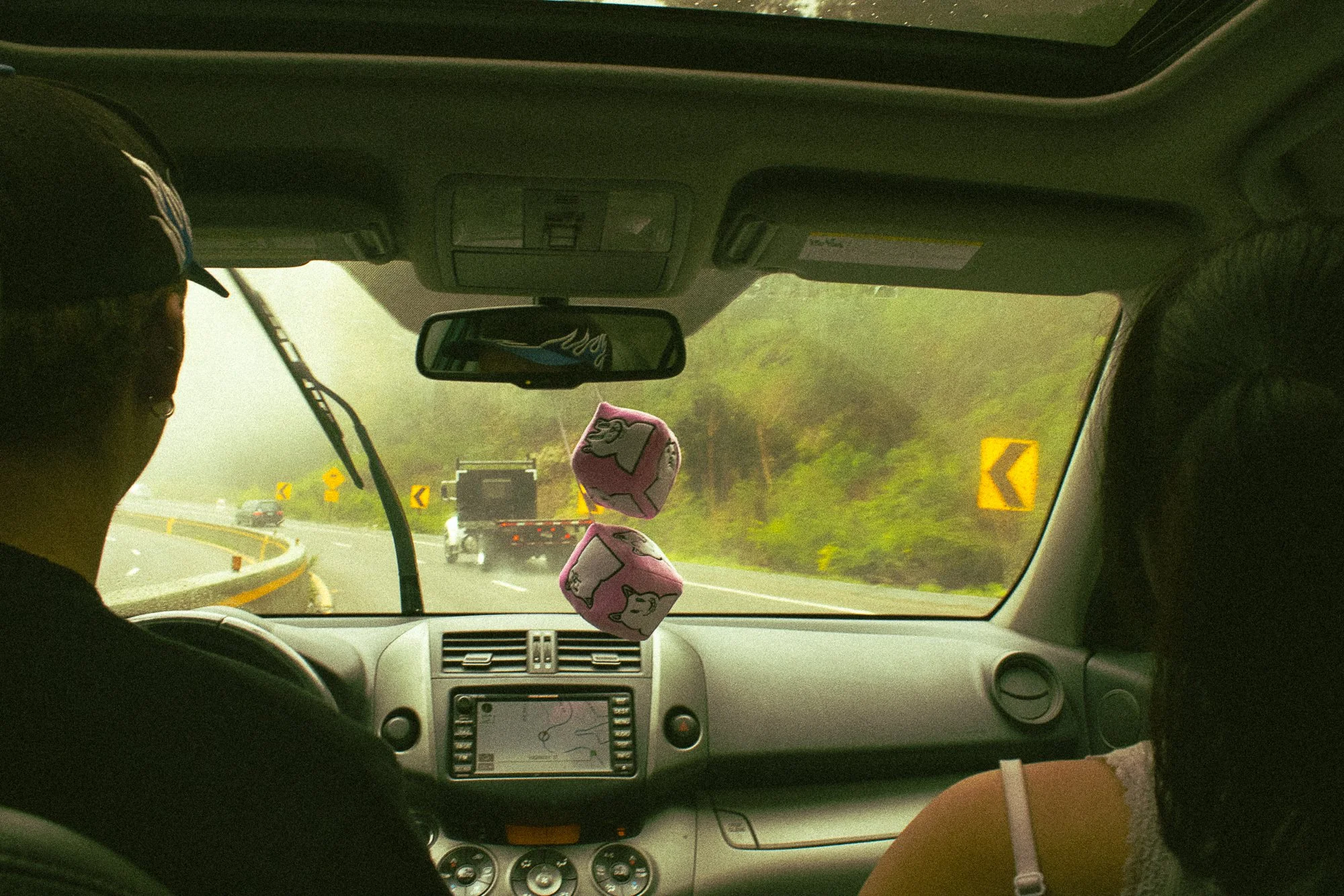 on pavement and soil-8.jpg