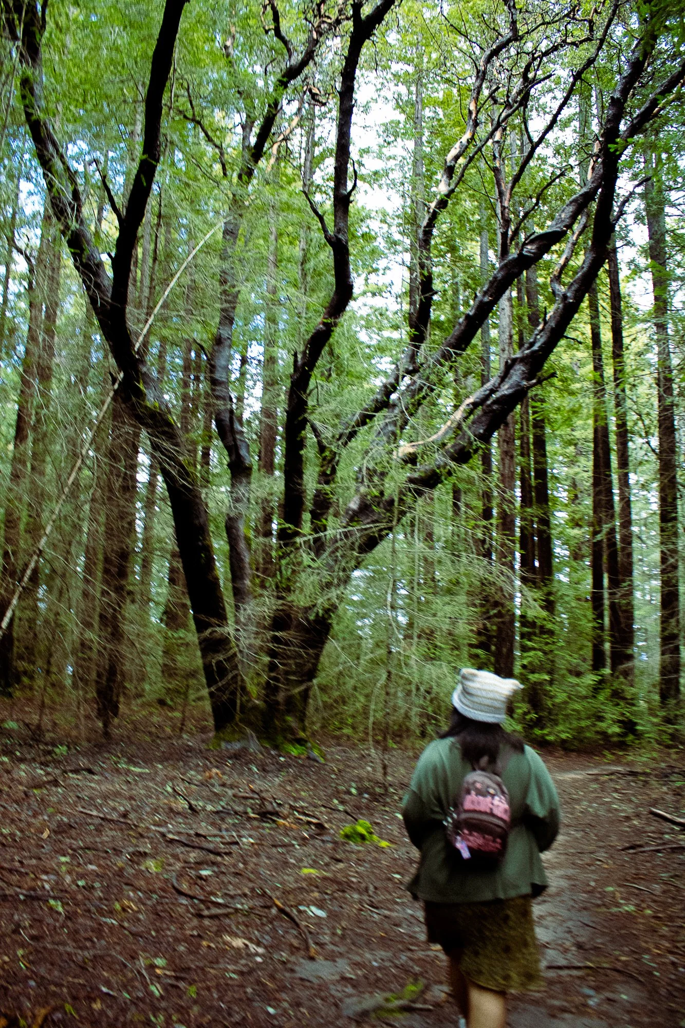 on pavement and soil-18.jpg