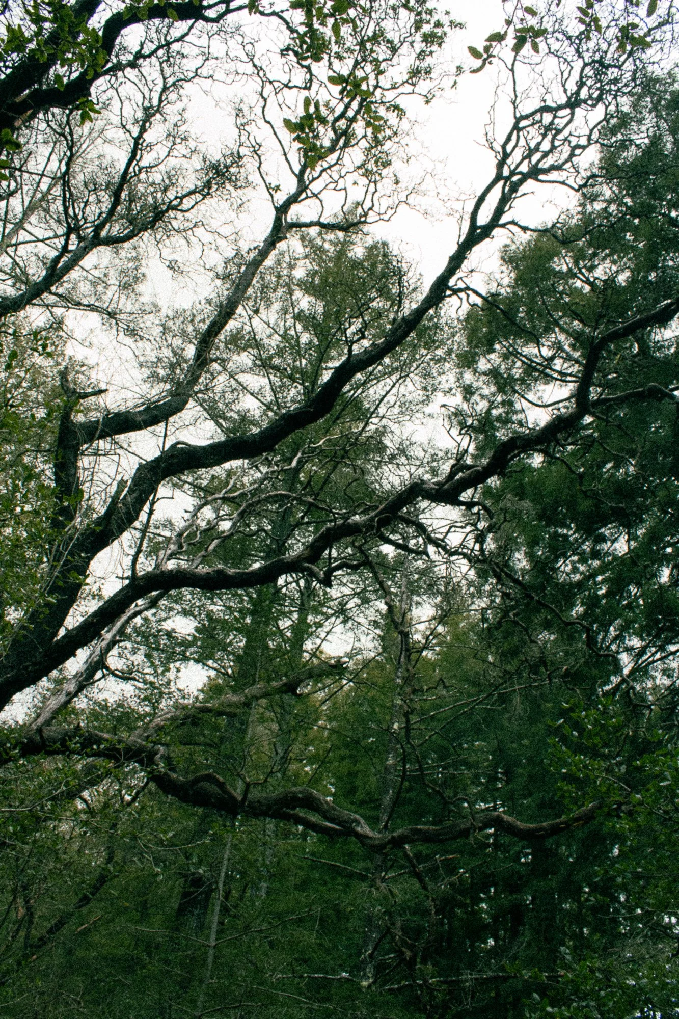 on pavement and soil-19.jpg