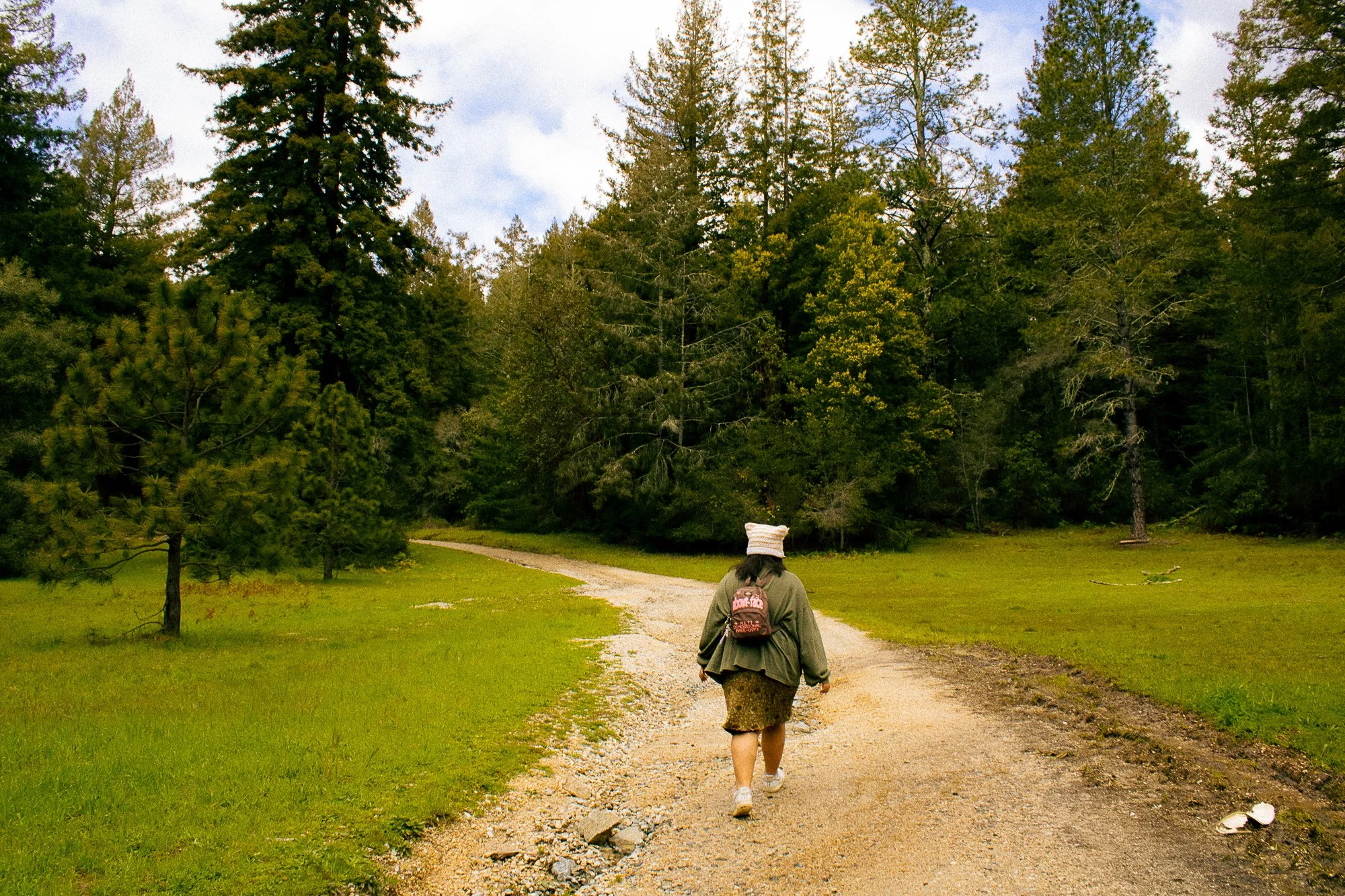 on pavement and soil.jpg