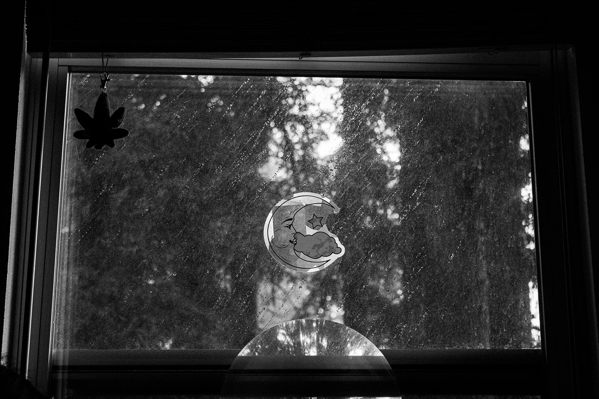 on pavement and soil-14.jpg