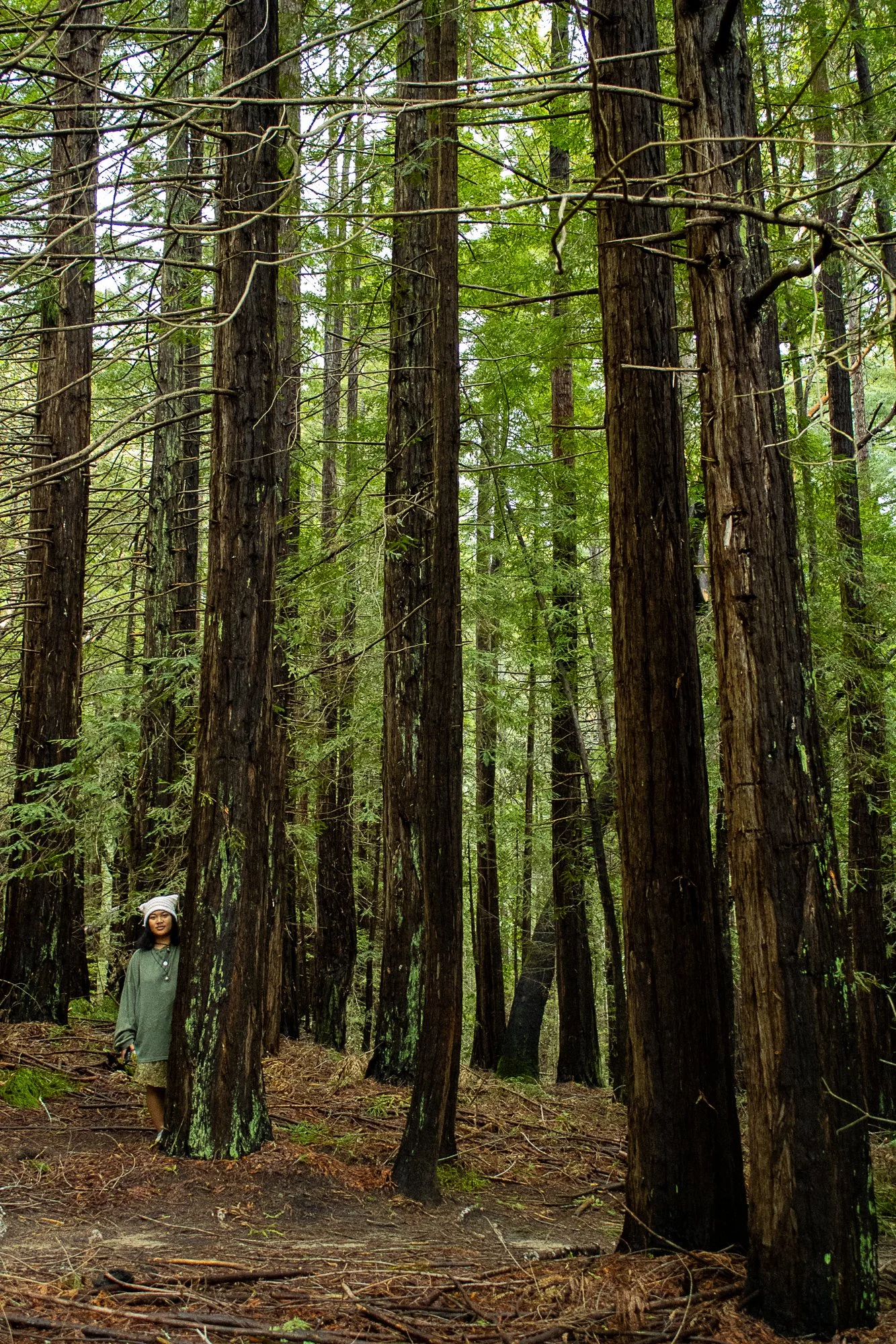 on pavement and soil-9.jpg