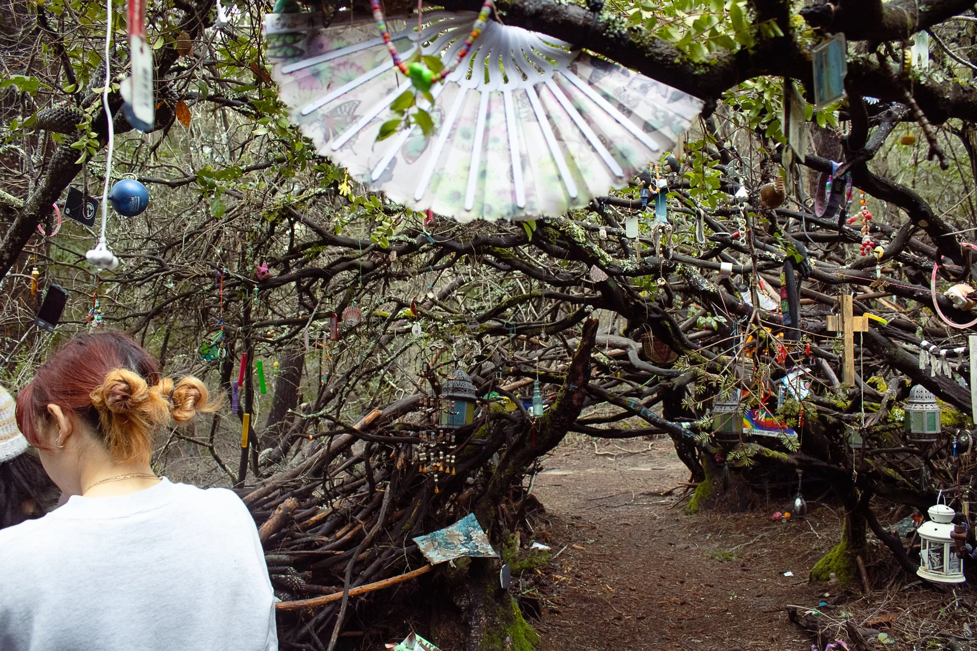 on pavement and soil-17.jpg