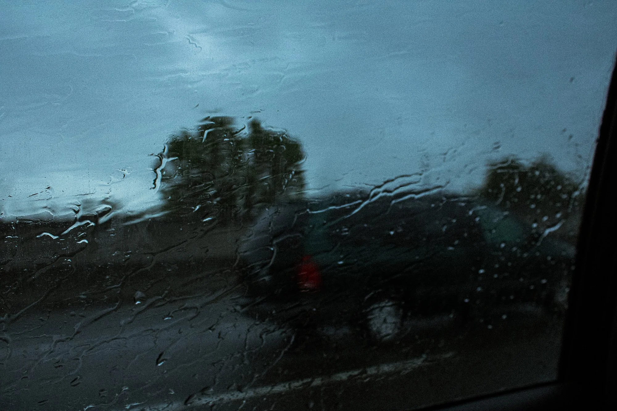 on pavement and soil-23.jpg