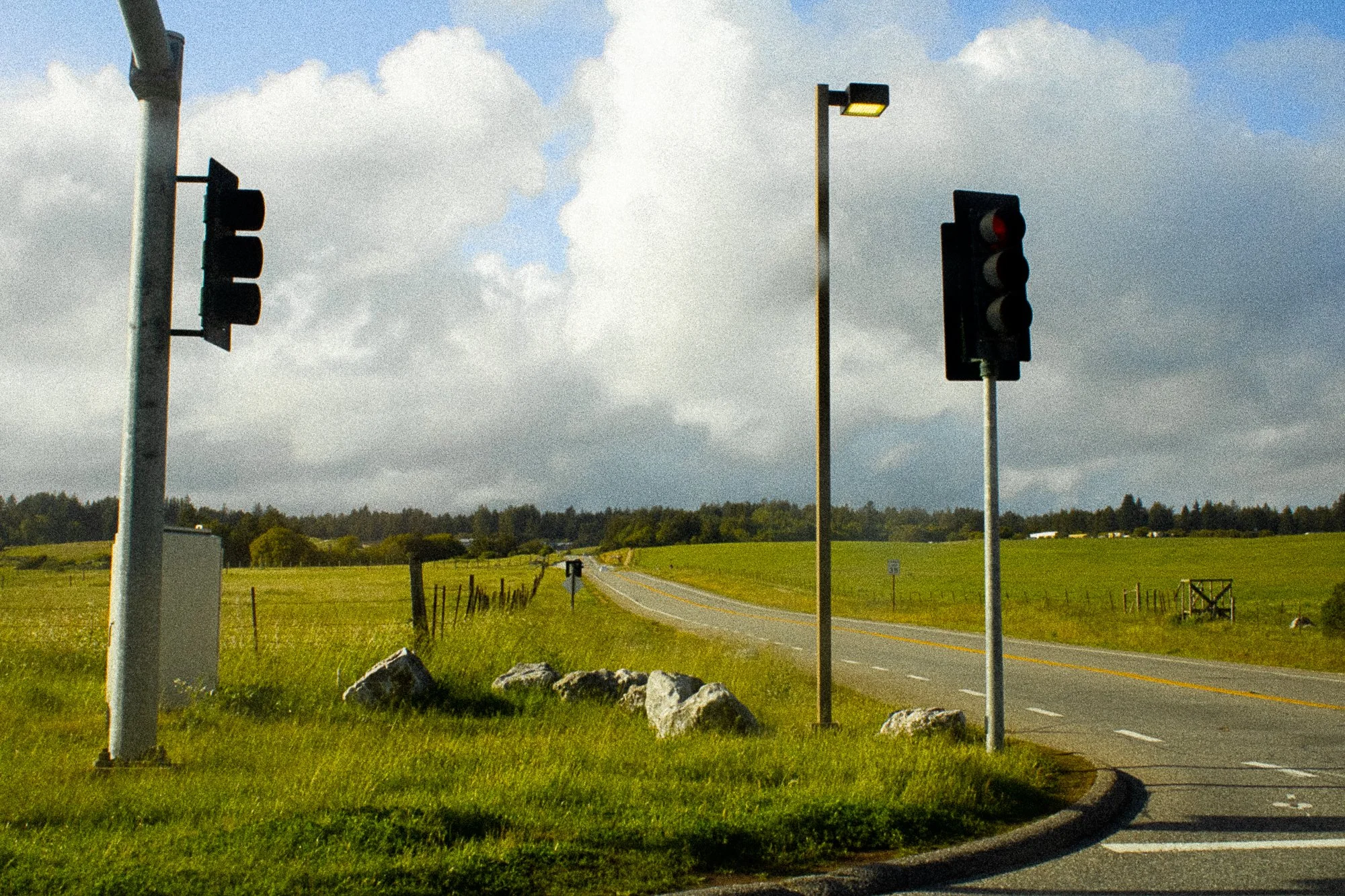 on pavement and soil-12.jpg