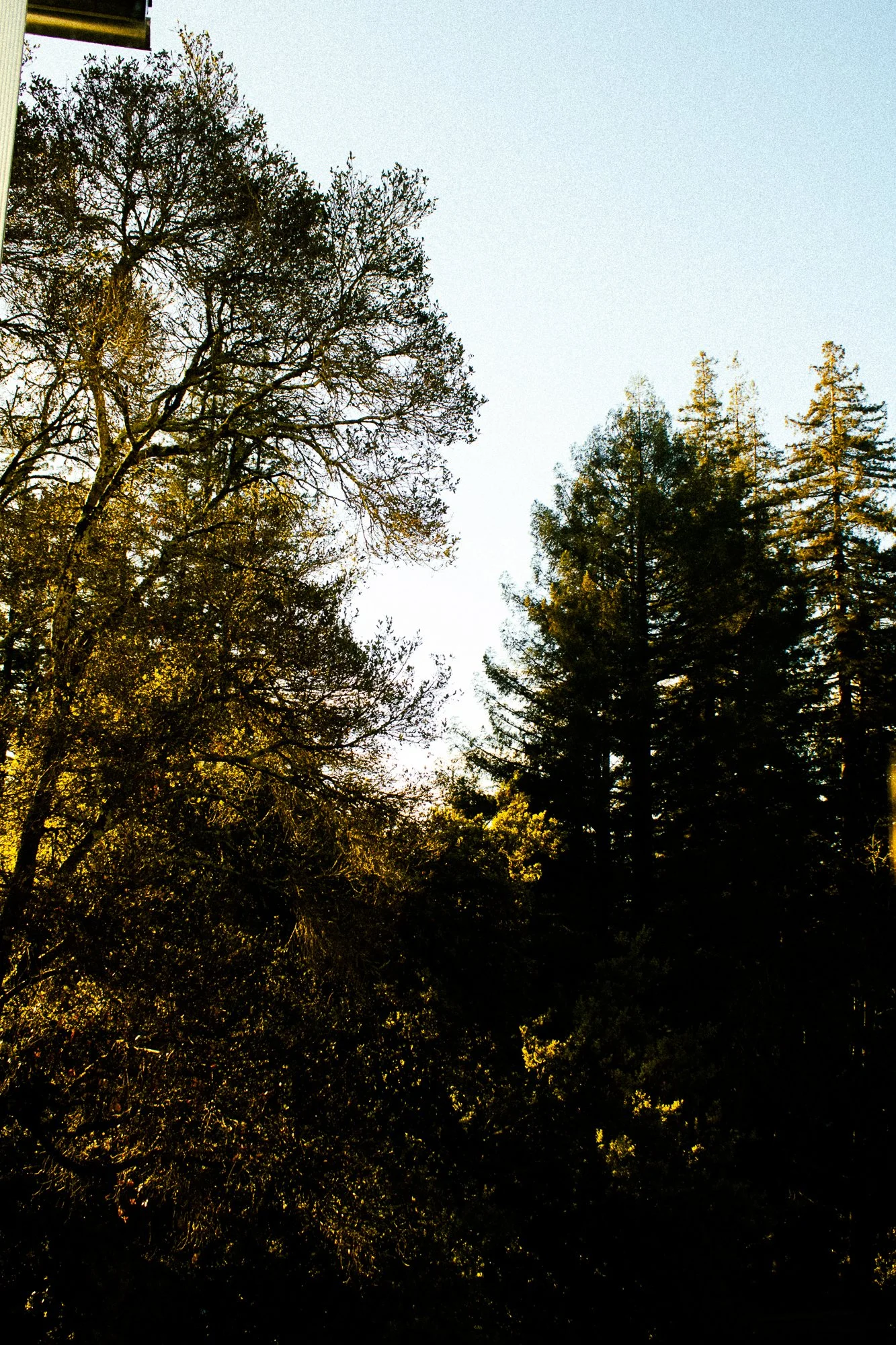 on pavement and soil-20.jpg