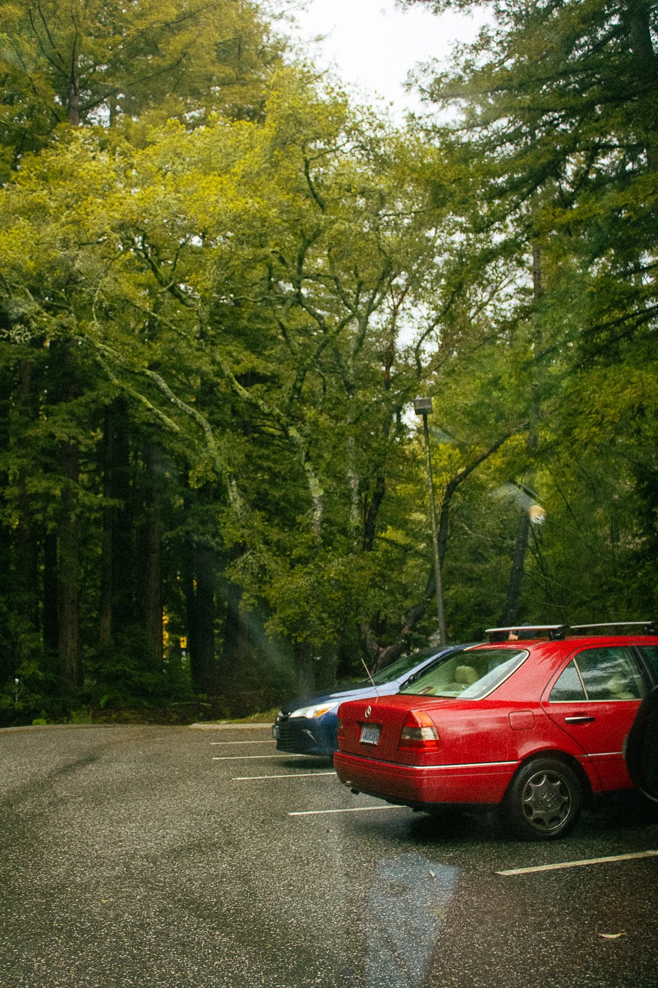 on pavement and soil-21.jpg