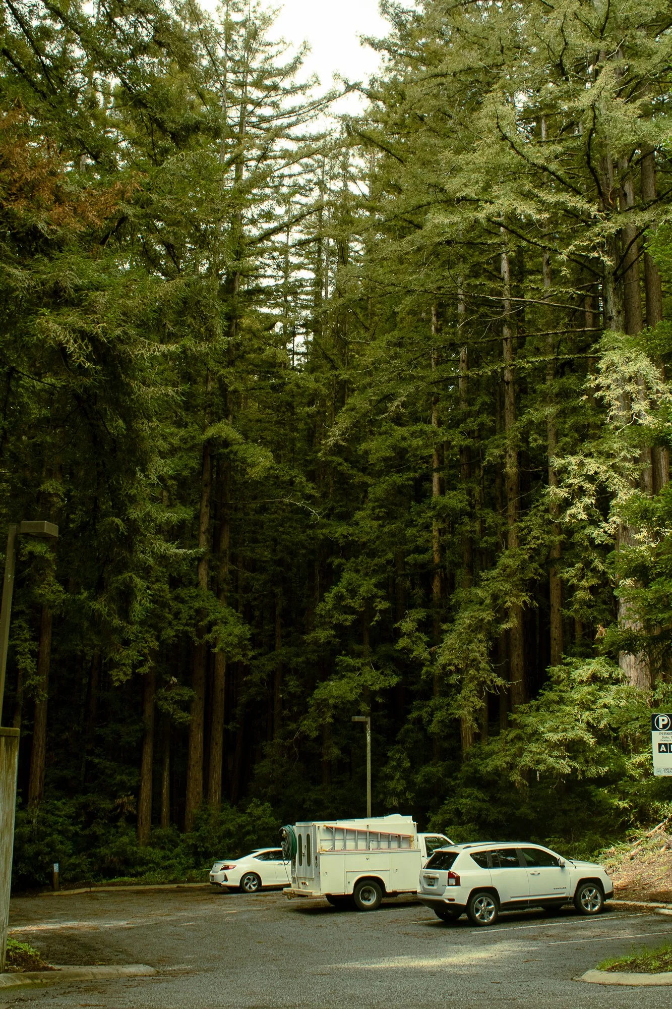 on pavement and soil-2.jpg