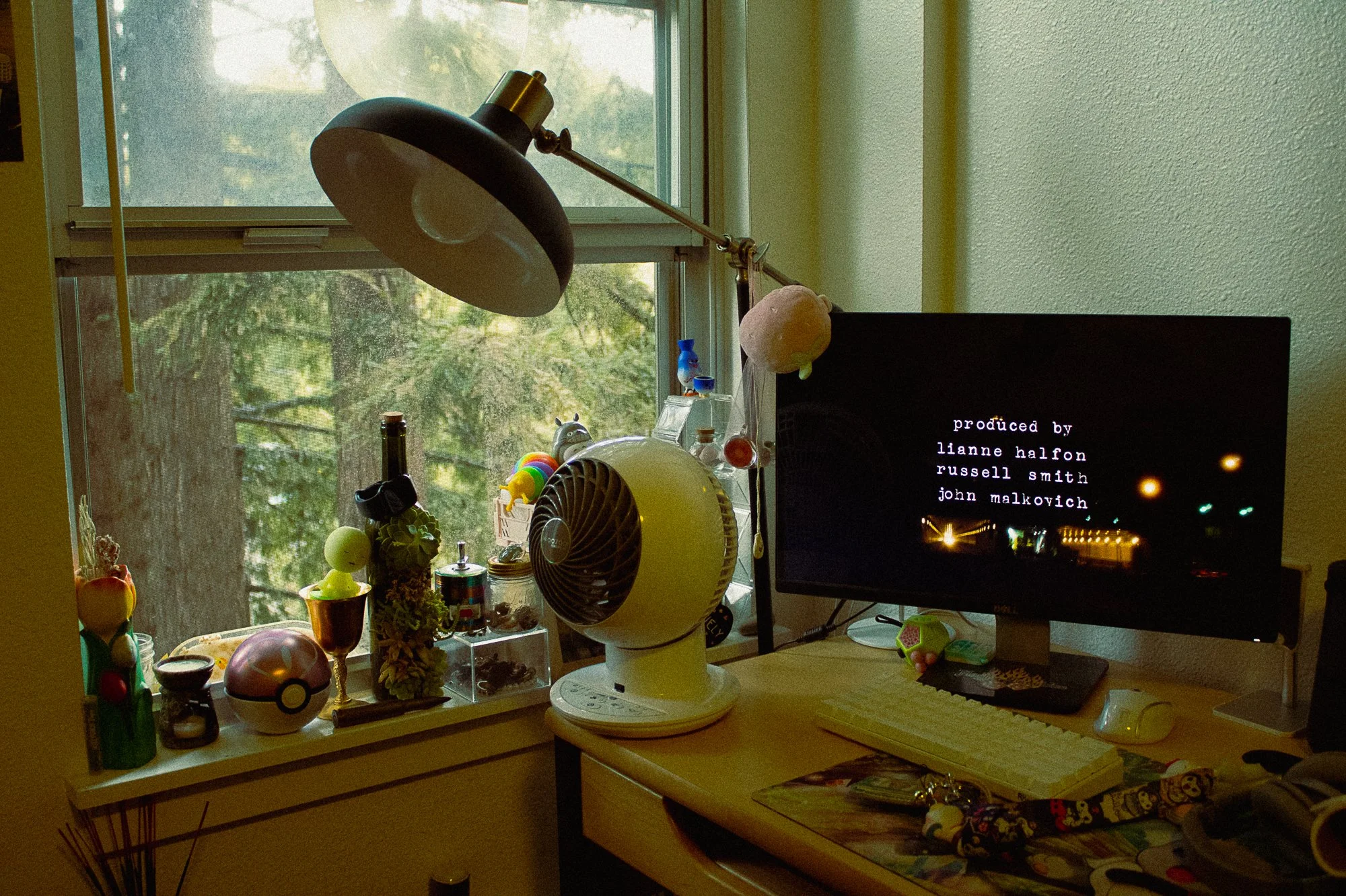 on pavement and soil-6.jpg