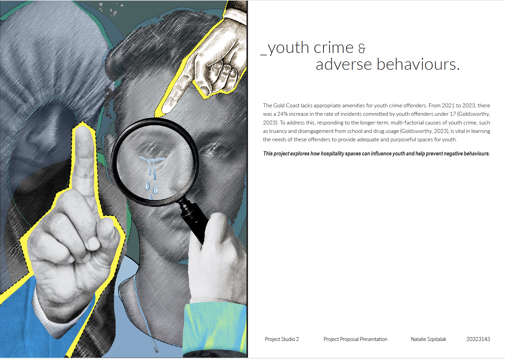 Youth crime research 