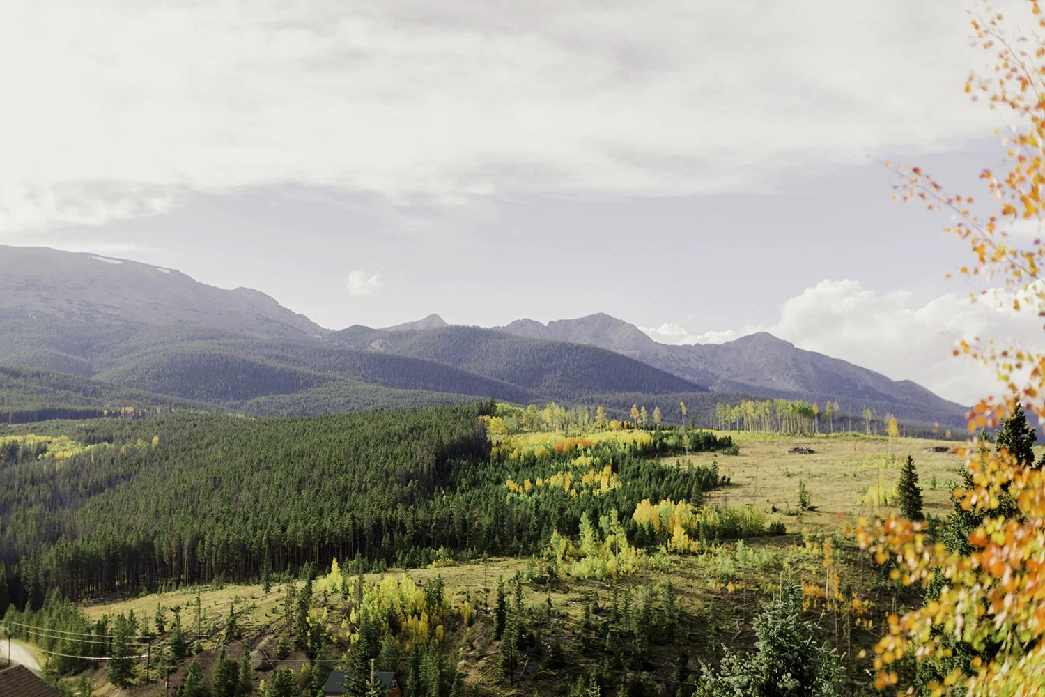 When Your Faith Feels Weak, God Will Make You Stand