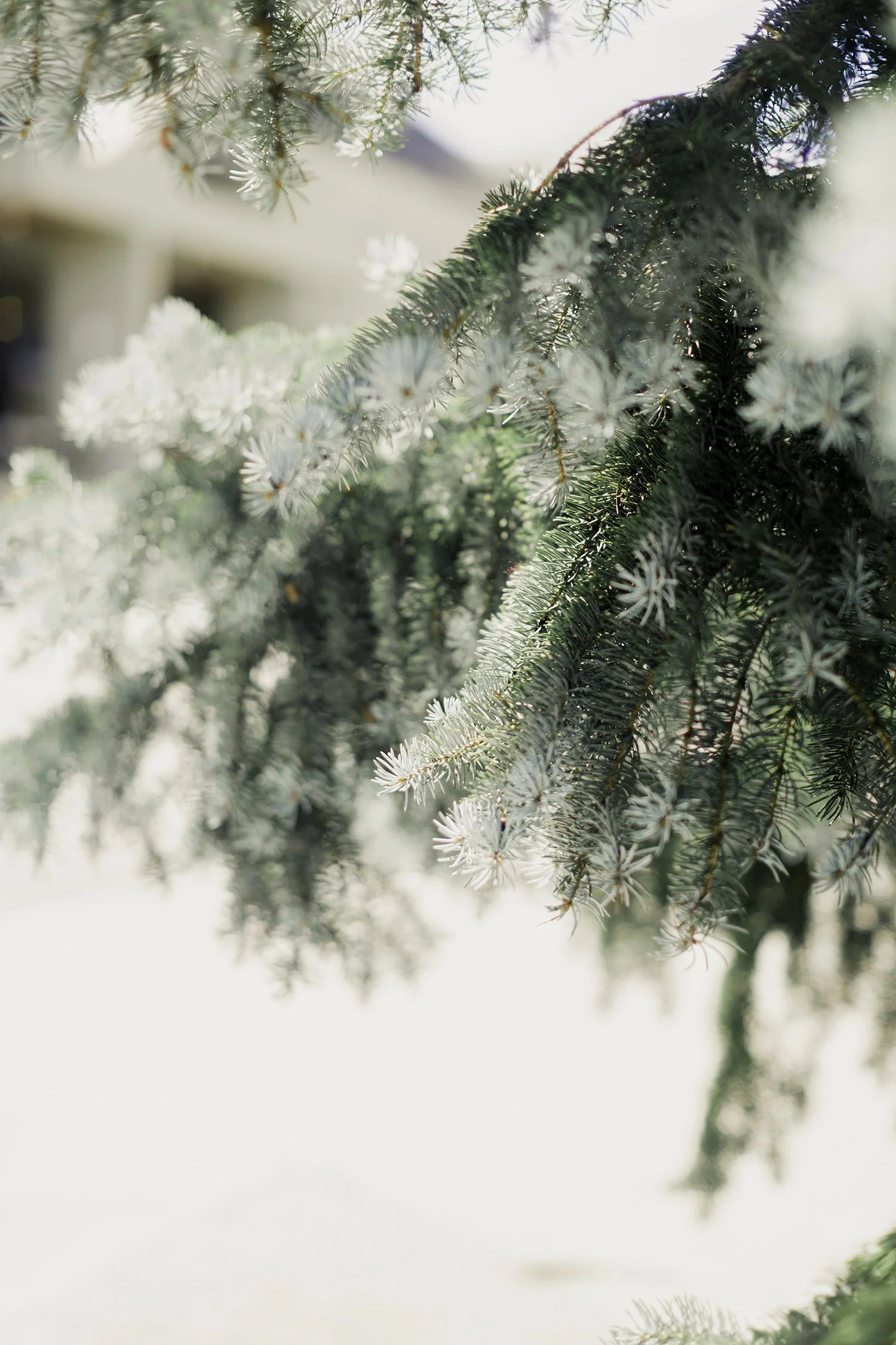 Jesus Wasn't After Better Behavior. He Wanted a Changed Heart.