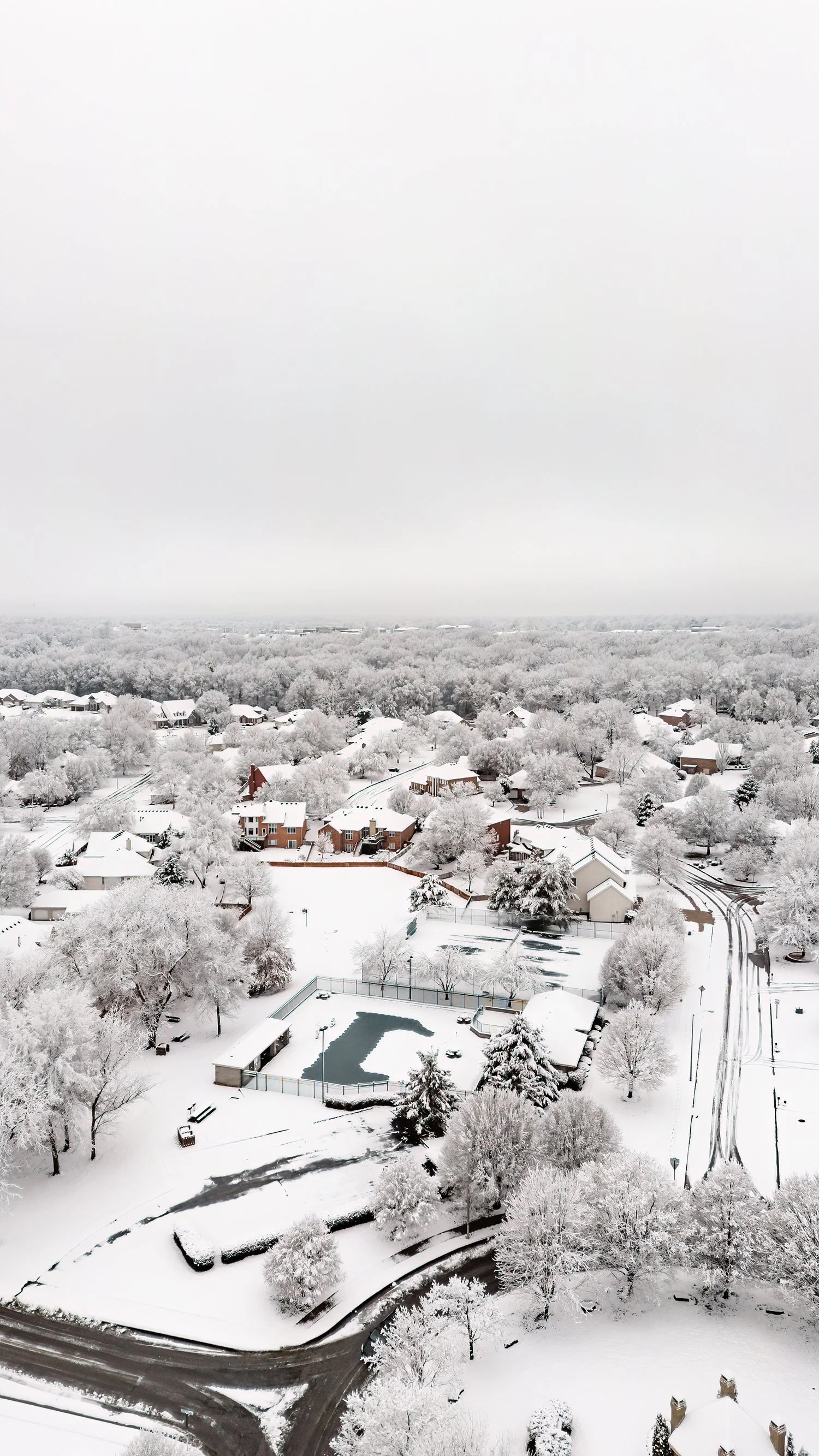 What Does Meek Mean?