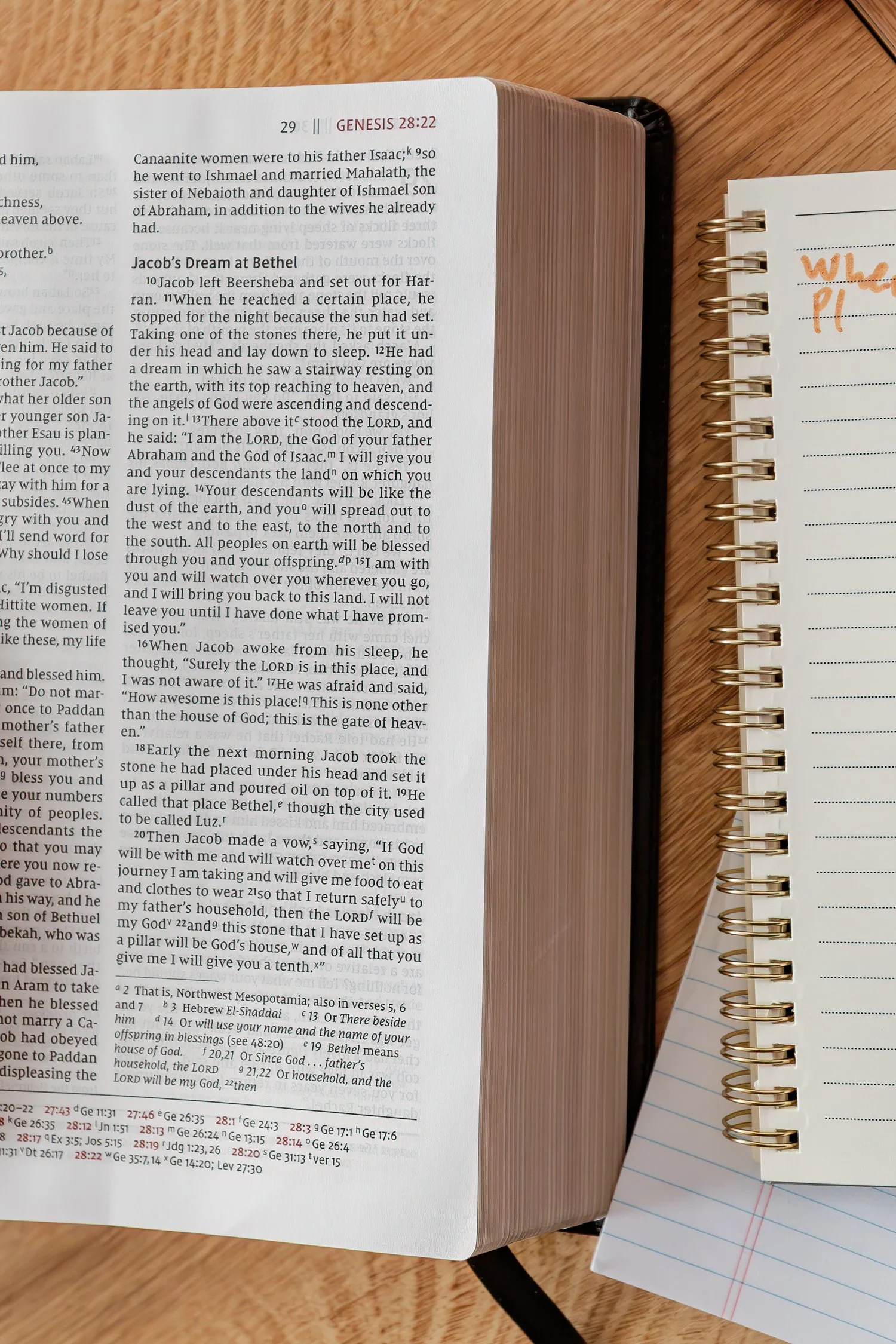 What Are the Fruits of the Spirit? A Look at Galatians 5:22-23