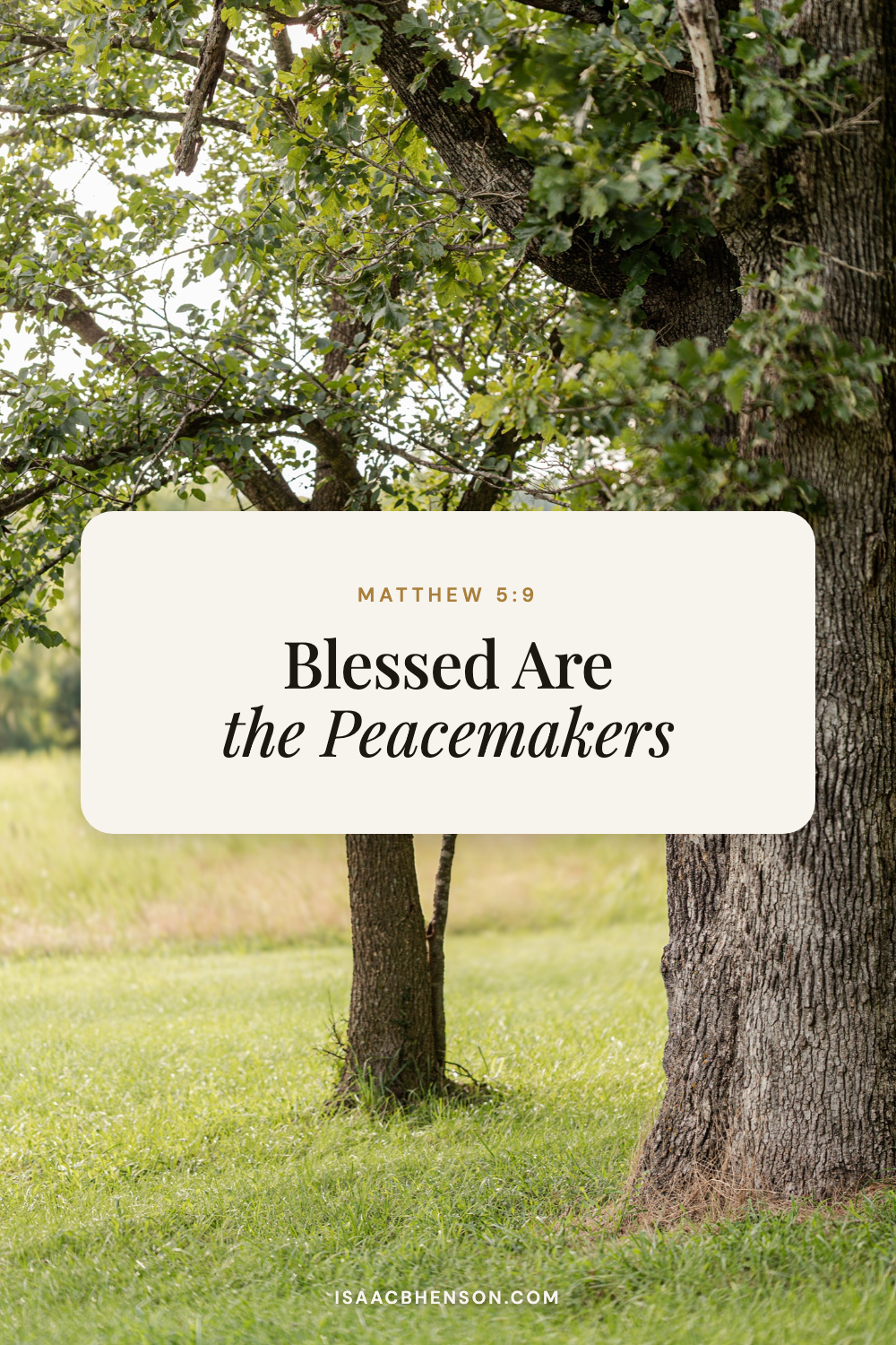 Blessed Are the Peacemakers: What Matthew 5:9 Means
