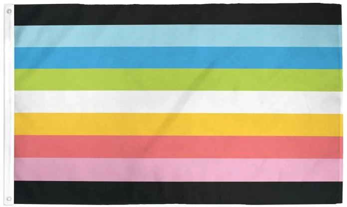 queer pride flag.JPG