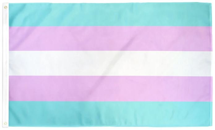 Trans pride flag.JPG