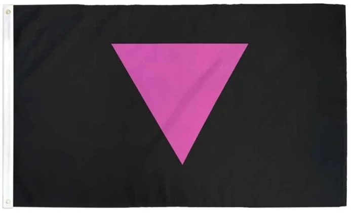 pink triangle pride flag.JPG