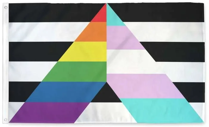 LGBTQ ally flag.JPG