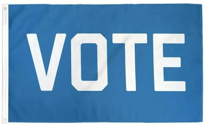 Vote Flag.JPG
