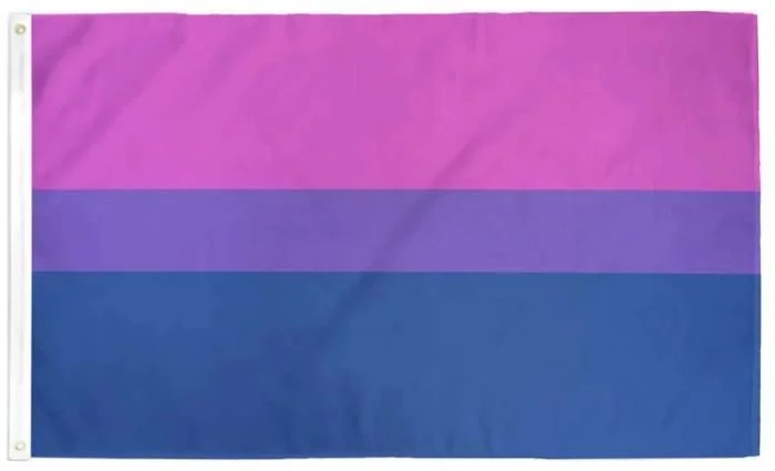 bi pride flag.JPG