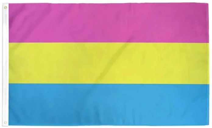pan pride flag.JPG