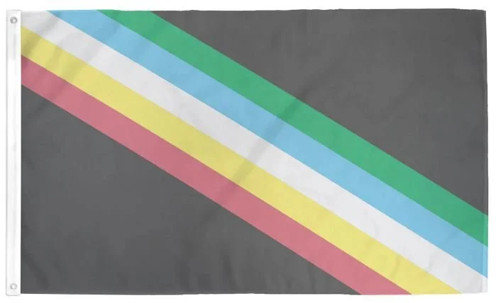 Disability Pride Flag.JPG