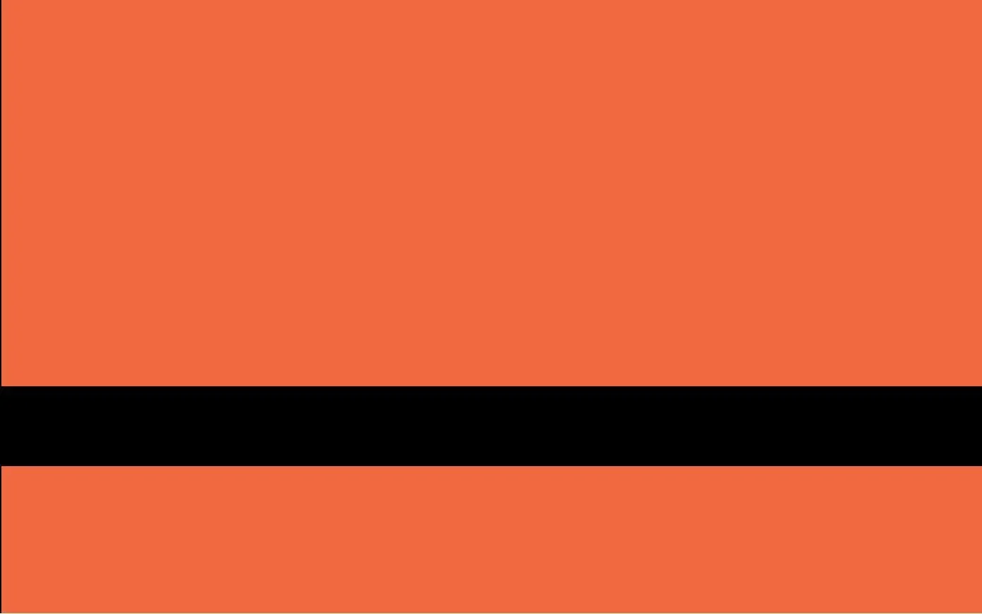 refugee nation flag.JPG