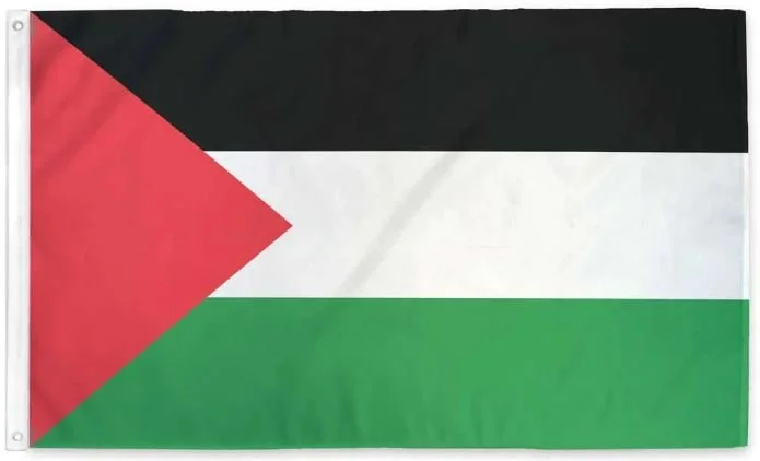 Palestine Flag.JPG