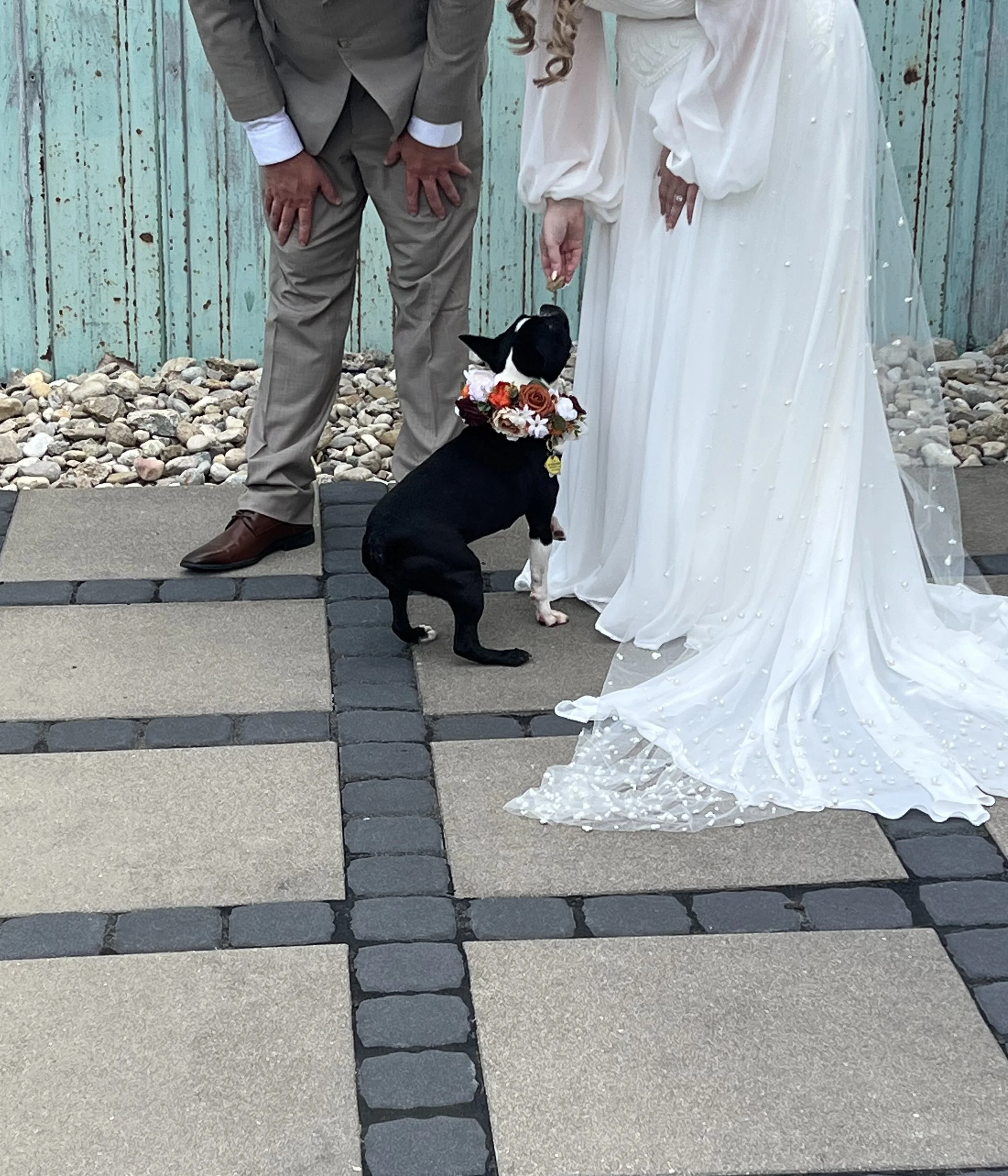 pup of honor 4.jpg