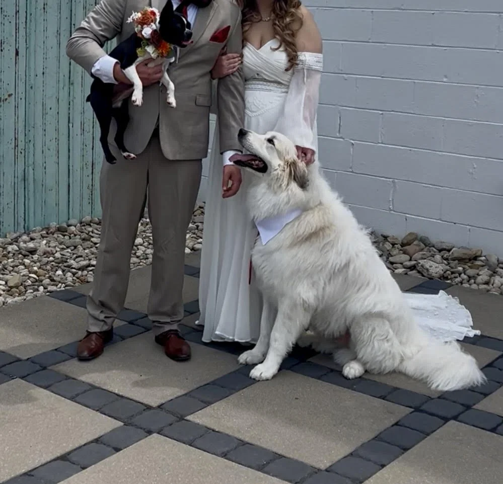 wedding6.jpg